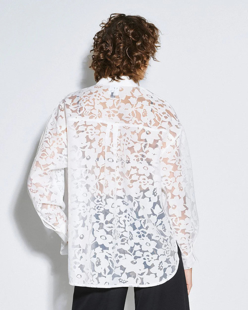 Semi-Sheer Devoré Long-Sleeved Shirt - White, Black, Light Blue