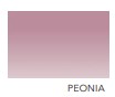 Stola sciarpa in chiffon sfumato cm 110x 200 - Rosa Peonia, Marrone